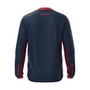 Hebo Tech Jersey with Breathable Lightweight Polyester Fabric (Blue) - Back