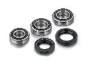 Factory Links Rear Wheel Bearing Kit for Legacy GasGas & Rieju Bikes (2003-2026)
