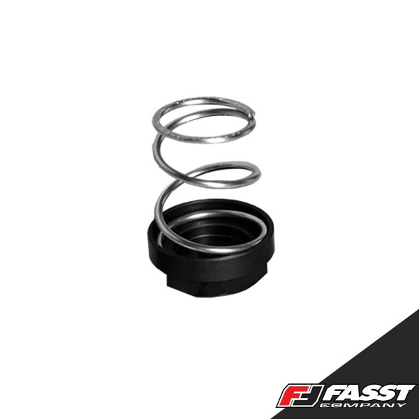 Fasst Co - Kit, Brake Return Spring, GasGas/RIEJU, BC-1RS8