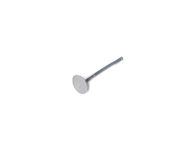 YCF D00F045 Intake Valve