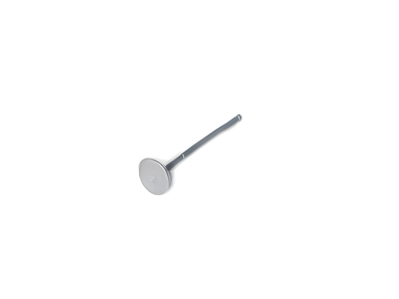 YCF D00F039 Exhaust Valve