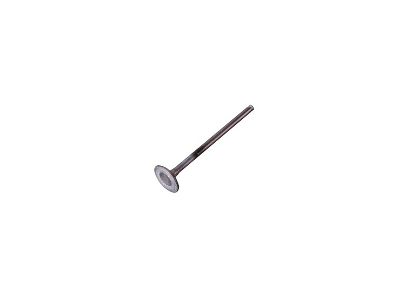 YCF 86623 Exhaust Valve for Daytona ANIMA Engines - 21mm