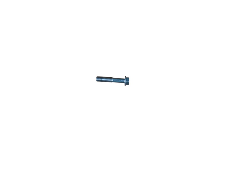 YCF 86474 Hexagon Flange Bolt for Daytona ANIMA Engines - M6 x 55mm