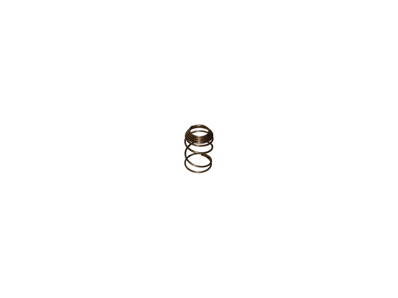 YCF 86385 Strainer Spring for Daytona ANIMA Engines (excluding FE)