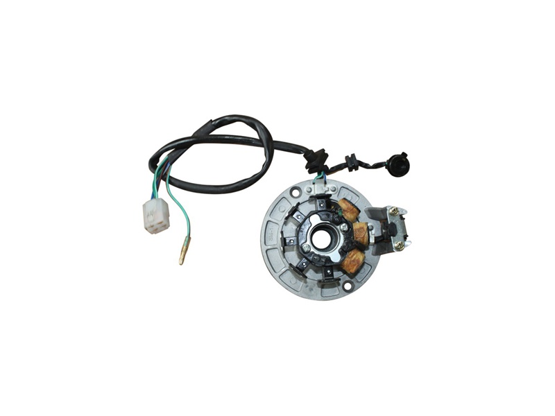 YCF 86430 Stator Assy - ANIMA 150/190 FLX