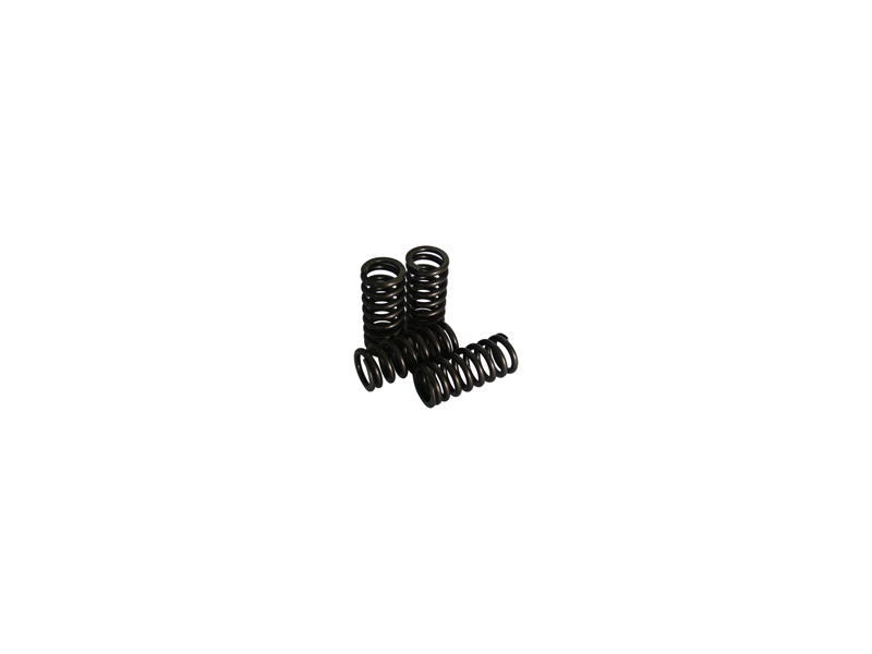YCF 86624 Valve Outer Spring
