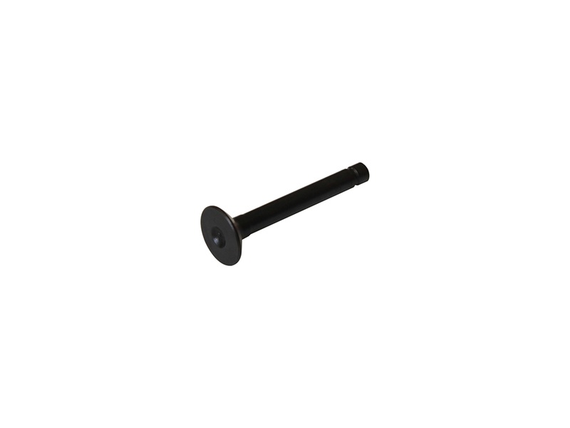 YCF YC50-20-15 Intake Valve 5.5 × 16 × 47.5mm Invaginat