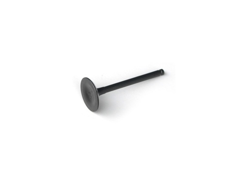 [YCF-204F045] YCF 204F045 Intake Valve