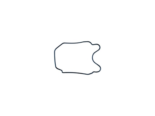 [YCF-86434] YCF 86434 Cylinder Head O-Ring for Daytona ANIMA Engines