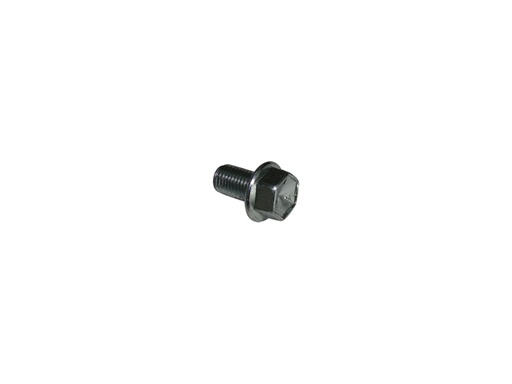 [YCF-86448] YCF 86448 Hexagon Flange Bolt for Daytona ANIMA Engines - M10 × 16mm